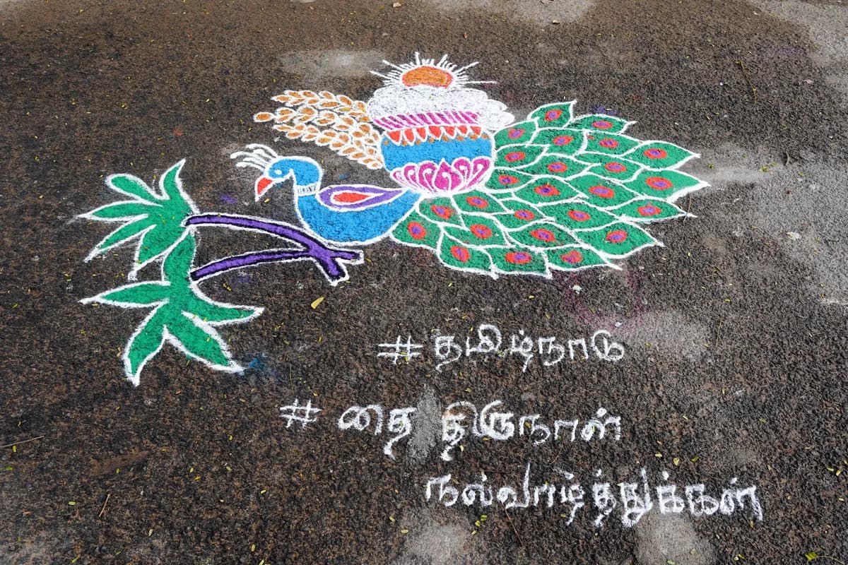 Intricate rice-flour kolam drawn outside home courtyard with harvest turmeric and sugarcane